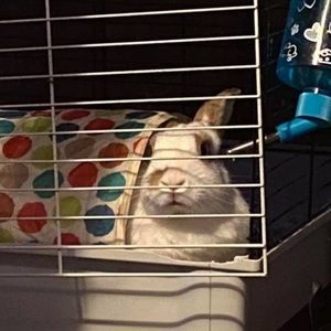 Meet your Posher, Summer